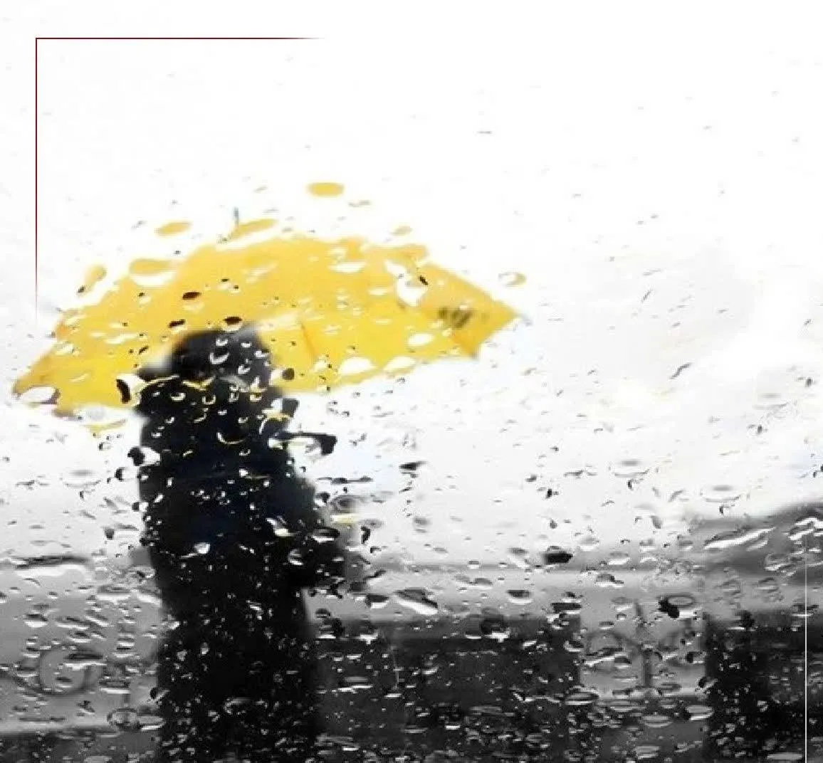 مازندران درآماده‌باش بارشی؛ هشدار نارنجی برای امشب تا فردا