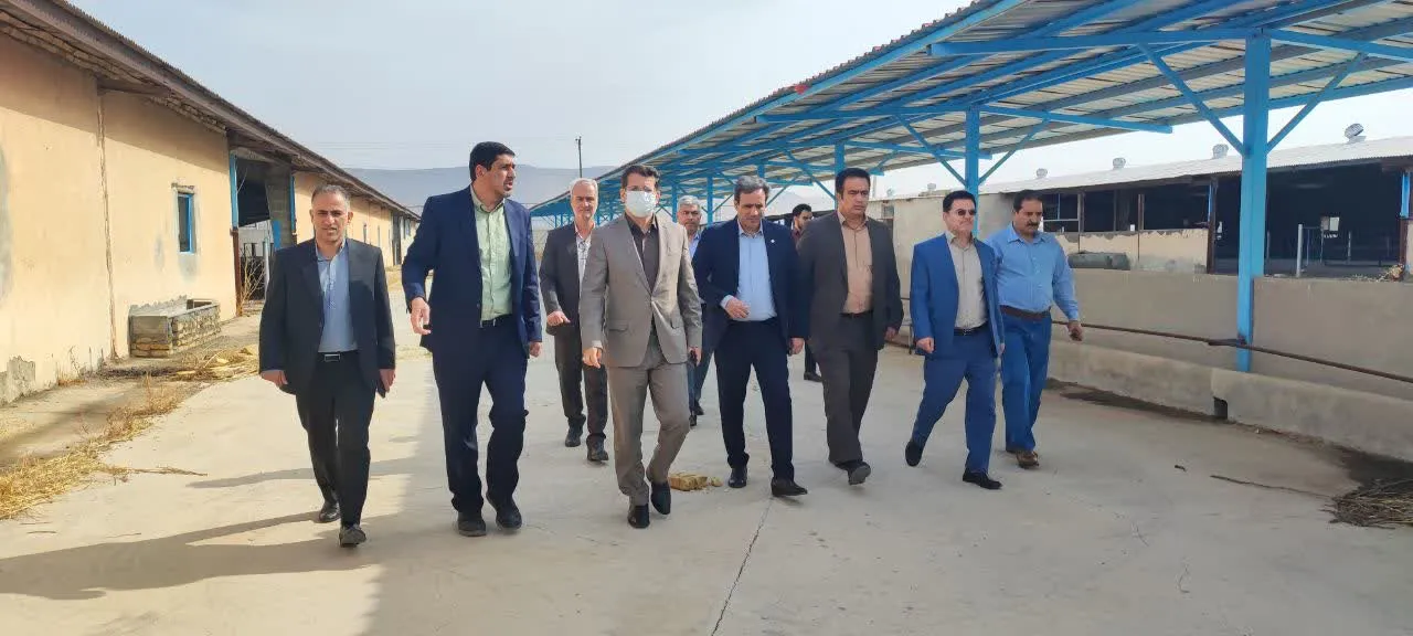 رفع موانع پروژههای تولیدی با رویکرد تسهیل و تسریع در بهرهبرداری دنبال میشود