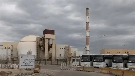 Rosatom Returns 135 Personnel to Bushehr Nuclear Power Plant in Iran - CEO