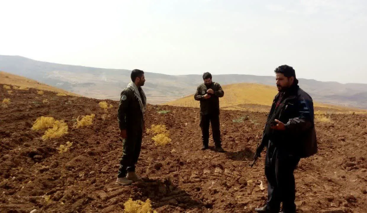 هشدار قاطع رئیس منابع طبیعی شهرستان  کرمانشاه نسبت به شخم و کشت غیرقانونی پاییزه در اراضی ملی