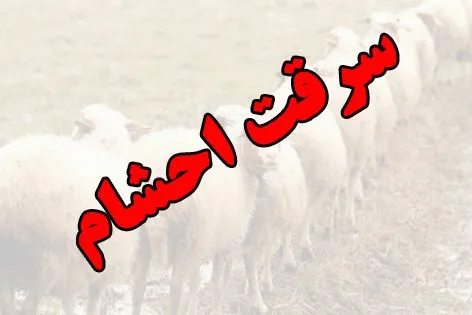 سرقت  احشام  با موتورسیکلت سرقتی در نیشابور