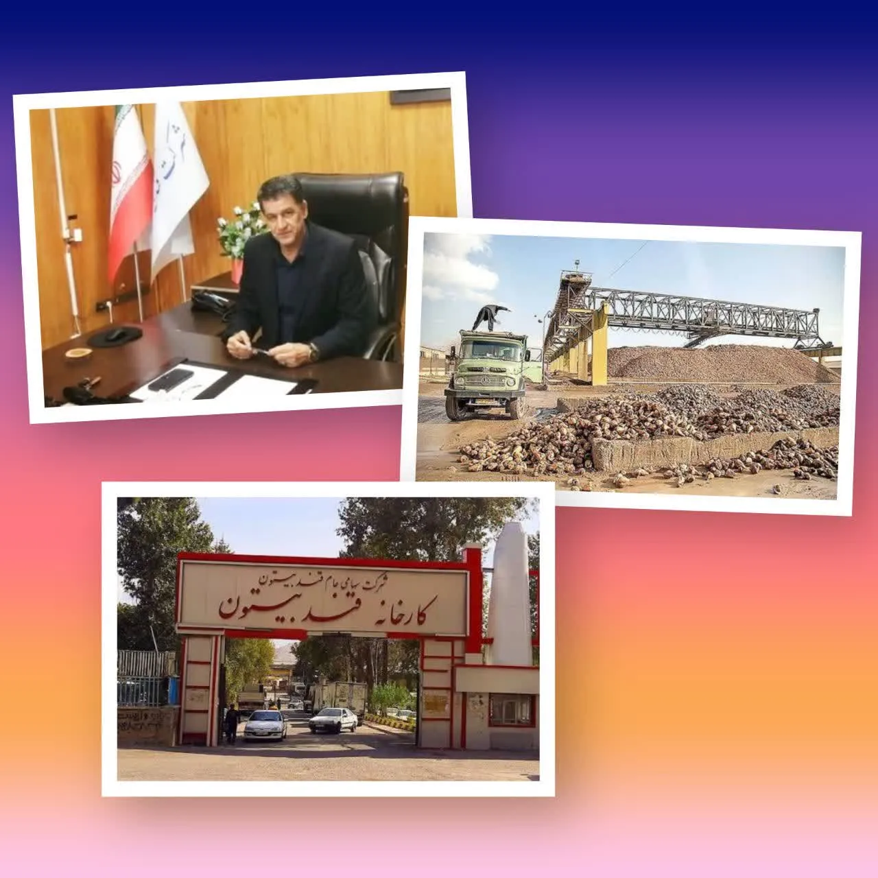 مدیرعامل کارخانه قند بیستون:کارخانه قند بیستون تاکنون 120 هزار تن چغندر خریداری کرده است