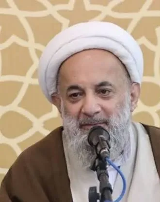 شورای فرهنگ عمومی تنها نهادی است که می‌تواند مسائل فرهنگی شهر را با نگاه بومی هماهنگ کند