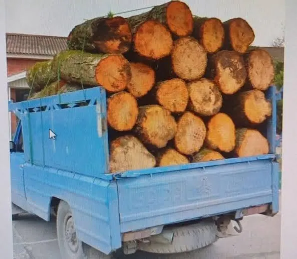 توقیف خودروهای حامل چوب قاچاق در مازندران