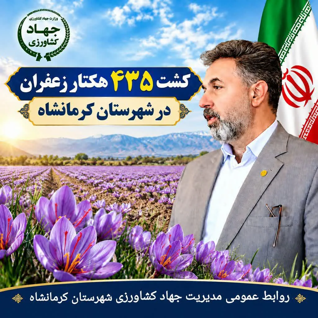 مدیر جهاد کشاورزی شهرستان کرمانشاه از کشت 435 هکتار زعفران در اراضی شهرستان کرمانشاه خبر داد