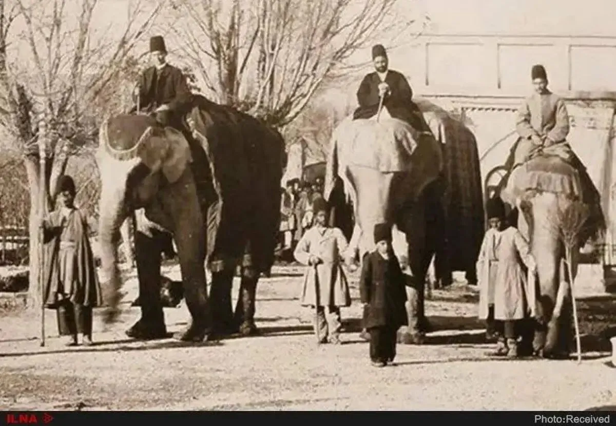 آخرین فیل‌خانه تهران در آستانه نابودی؛ وعده مرمت عمارت قاجاری پس از هشت سال همچنان روی کاغذ