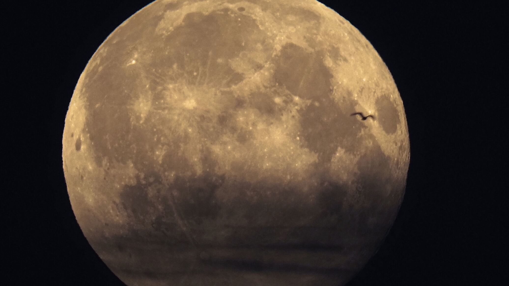 Russia to Build Top-Notch Lunar Power Station by 2036