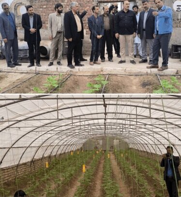 خبرگزاری آریا