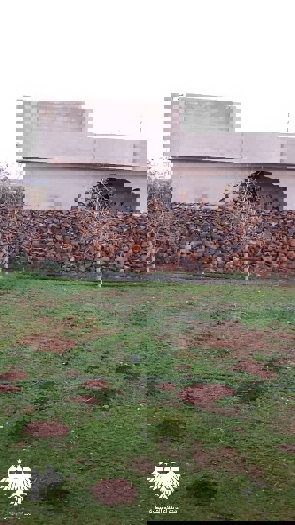 وکاله آریا للأنباء