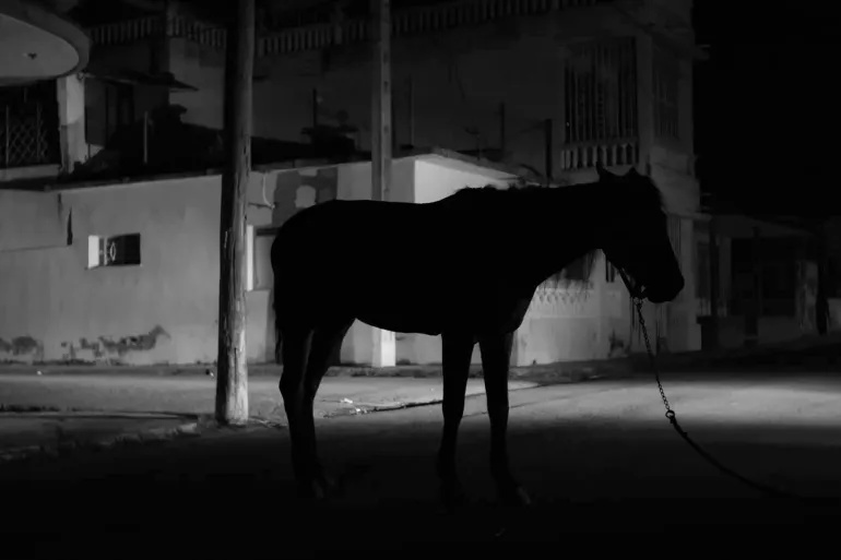 وکاله آریا للأنباء