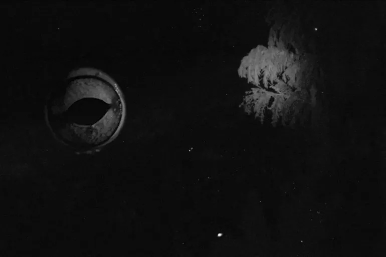 وکاله آریا للأنباء