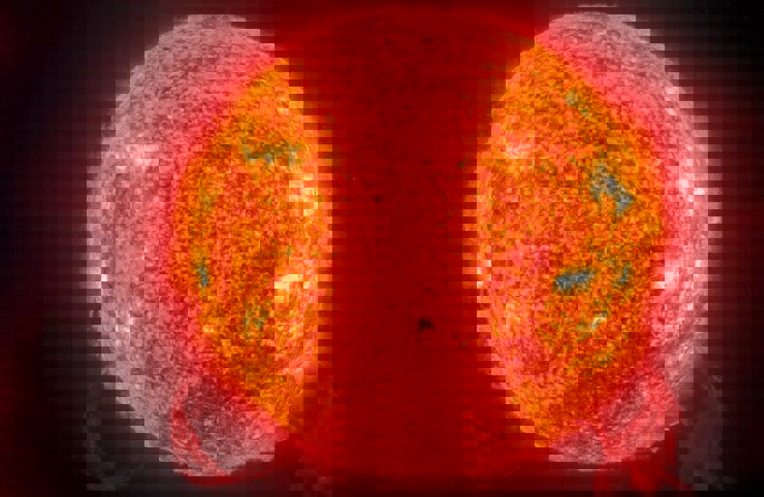 وکاله آریا للأنباء