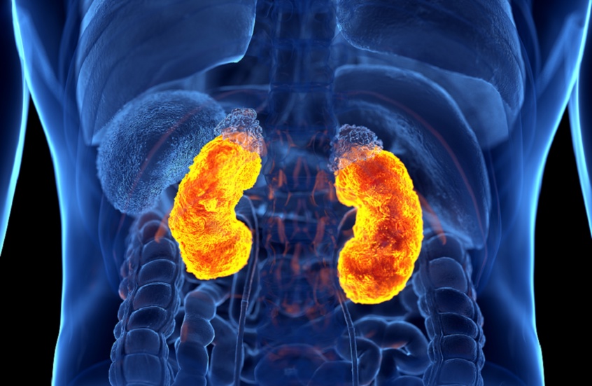 وکاله آریا للأنباء