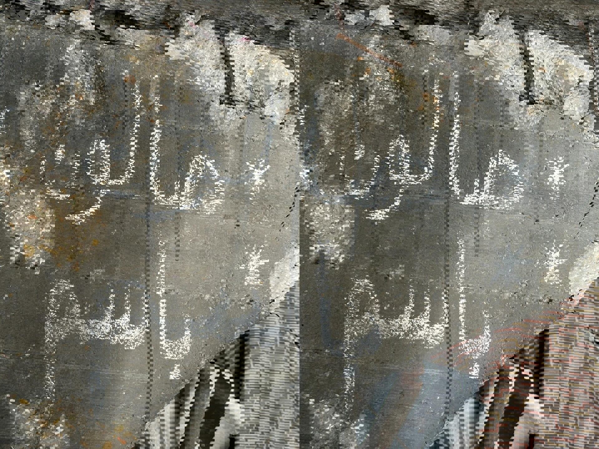 وکاله آریا للأنباء