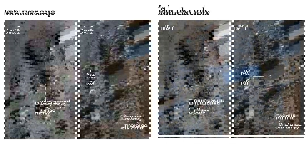 وکاله آریا للأنباء