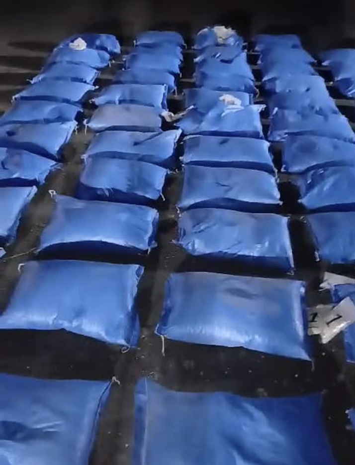 وکاله آریا للأنباء