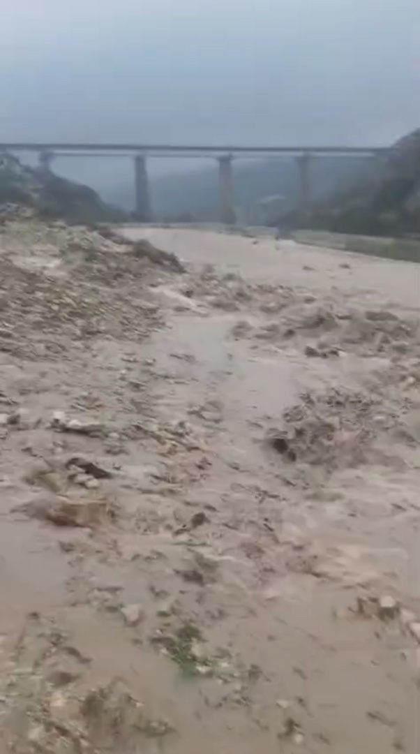 وکاله آریا للأنباء