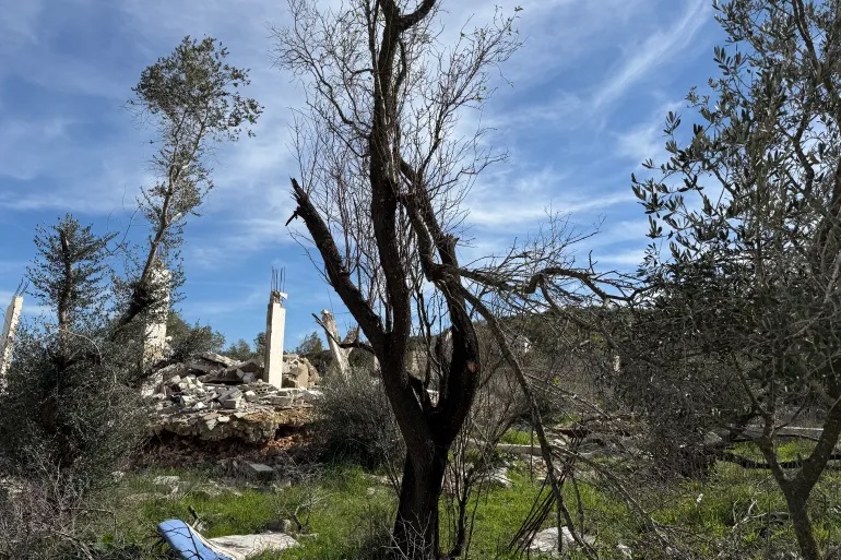 وکاله آریا للأنباء