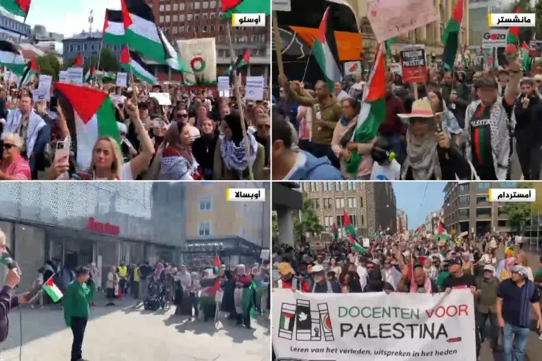 وکاله آریا للأنباء