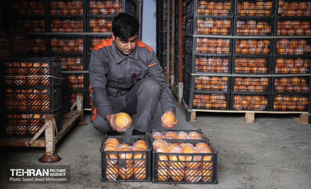 خبرگزاری آریا