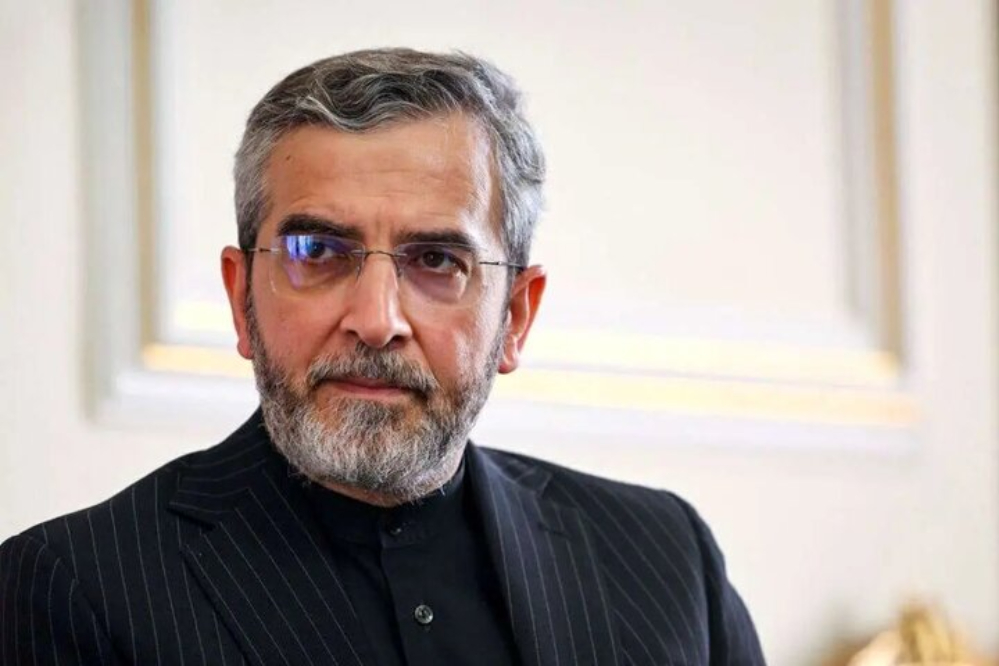 باقريکني: استقلال ايران بايد در برابر زيادهخواهيها صيانت شود