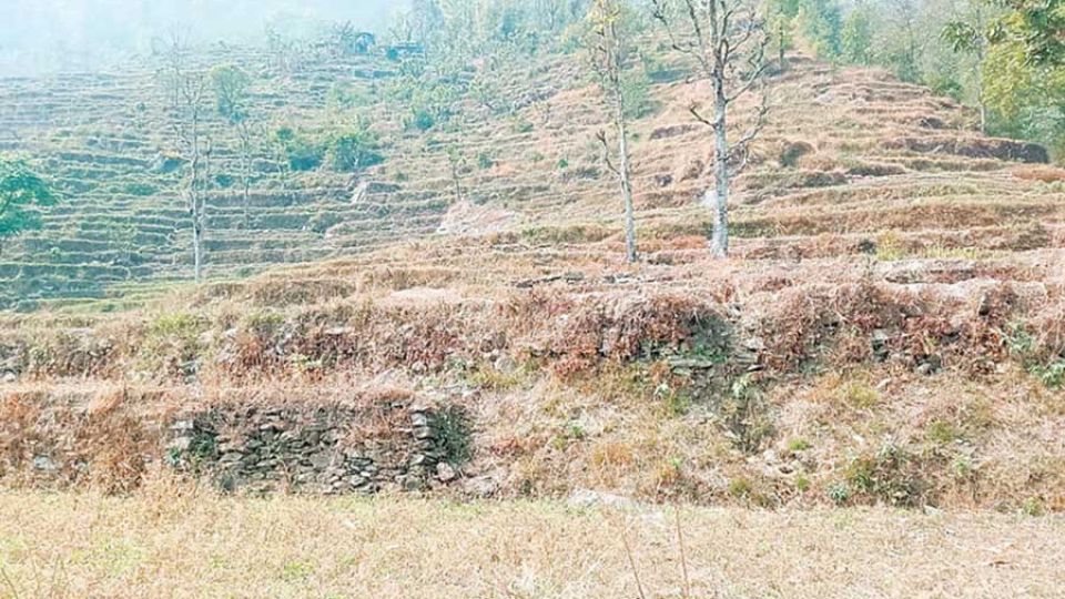 Nepal’s new land bank procedure aims to revive unused plots, but challenges persist
