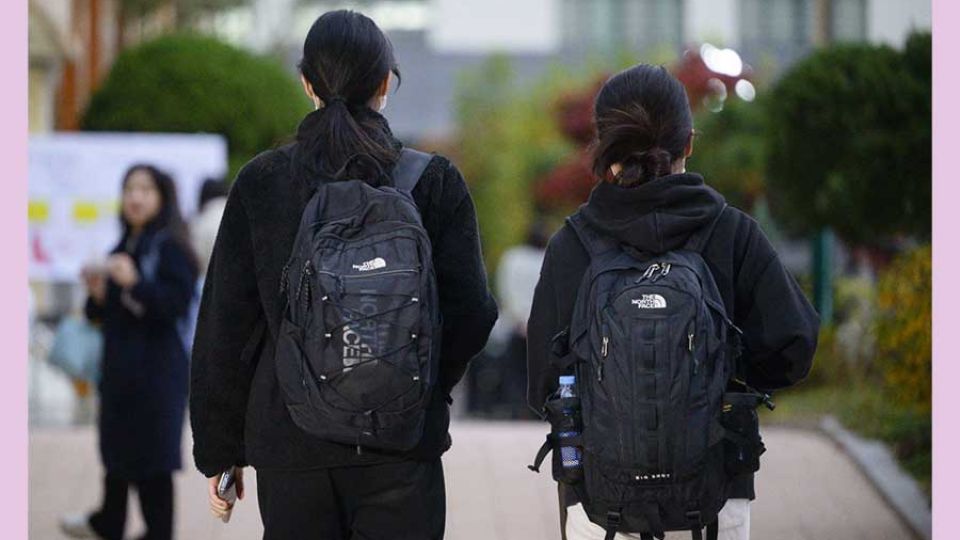 1 in 20 South Koreans in gray intellectual zone: survey