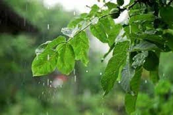 تداوم رگبار و رعدوبرق در ارتفاعات البرز تا شنبه