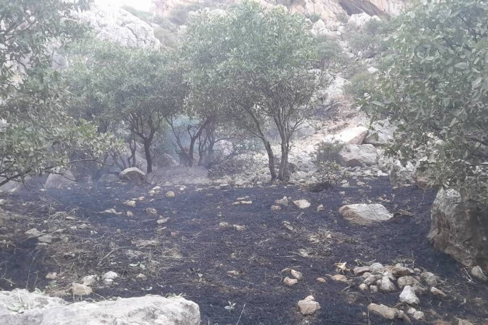 مهار کامل آتشسوزي در ارتفاعات سرکش گيلانغرب
