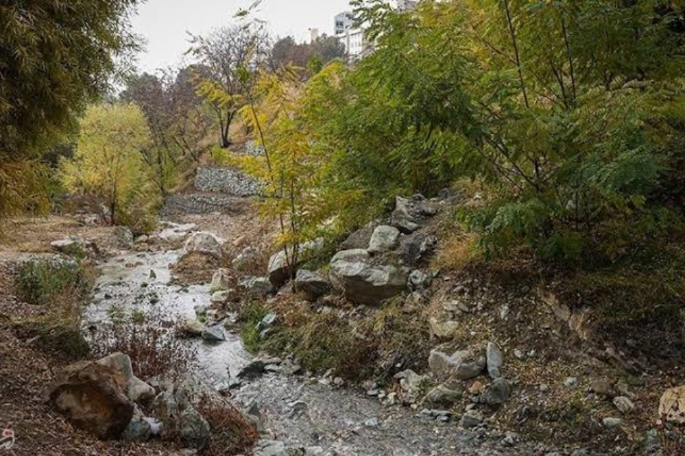 اتصال دو تفرجگاه تهران؛ بوستان نهجالبلاغه به اکوپارک ميرسد