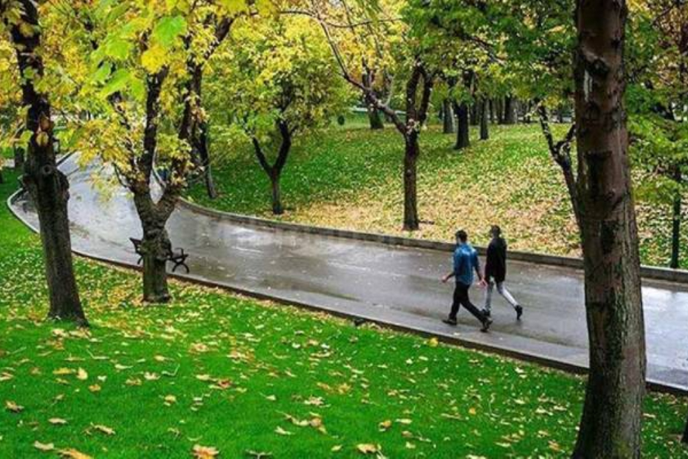 فرار از دیابت با پناه بردن به فضای سبز