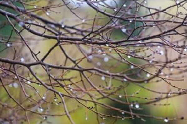 پیش‌بینی رگبار و رعدوبرق در ارتفاعات تا پایان هفته