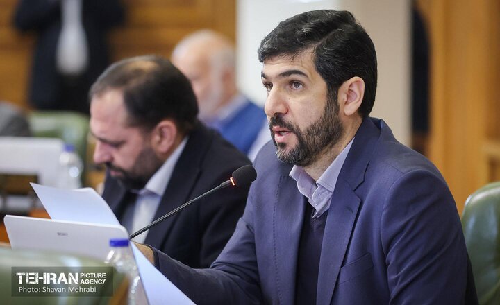 برنامه‌هاي خوبي در تهران براي جاماندگان اربعين اجرا شد