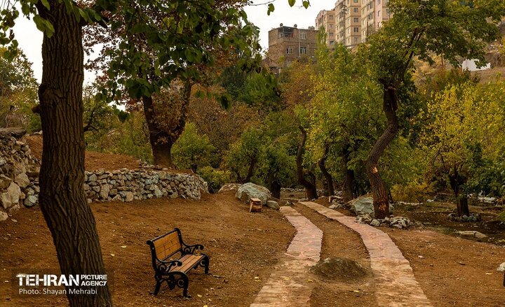 شمارش معکوس برای گسترش «منطقه طبیعت‌گردی روددره فرحزاد» تا 100 هکتار