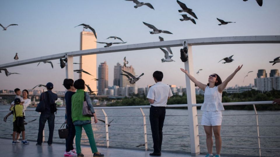 Birds behind nearly half of Seoul’s summer power outages