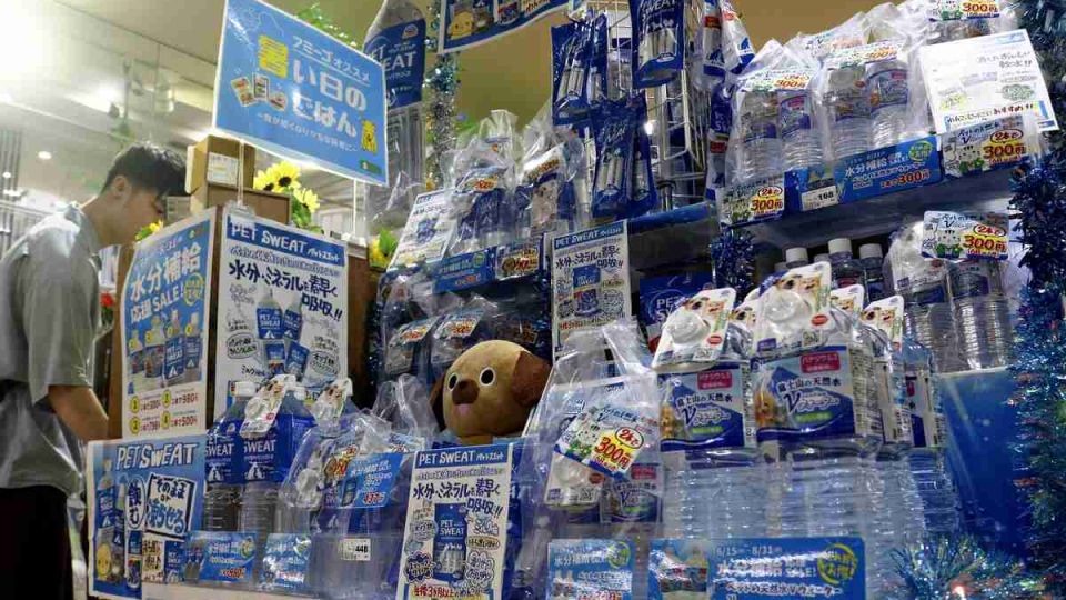 Summer-ready pets: Innovative gear now on sale in Japan for furry pals to beat the heat