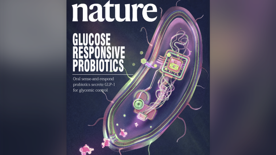 Chinese scientists develop new approach for diabetes treatment
