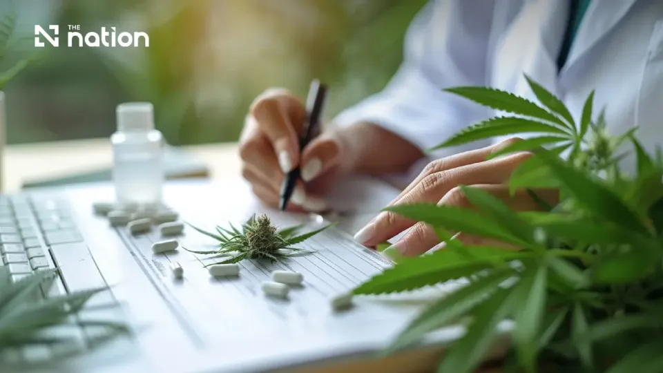 Thai dentists face legal action for re-signing cannabis prescriptions