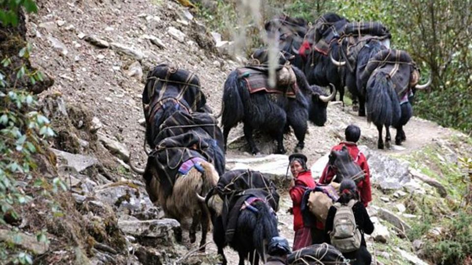 The vanishing trade of Bhutan’s Drukor
