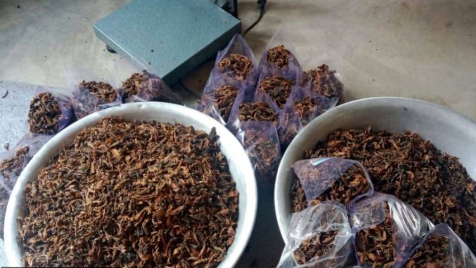 Nepal’s traditional fermented Gundruk turns into a business lifeline for local women