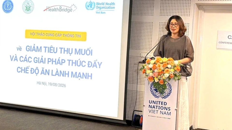 Excessive salt consumption increases risk of disease: Vietnamese experts
