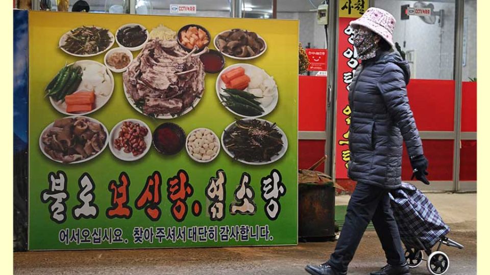 South Korea’s dog meat restaurants seek damages over looming ban