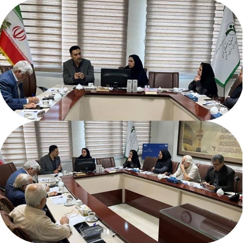 برگزاری نشست کمیته نظارت استانی بیمه تکمیلی بازنشستگان در خراسان رضوی