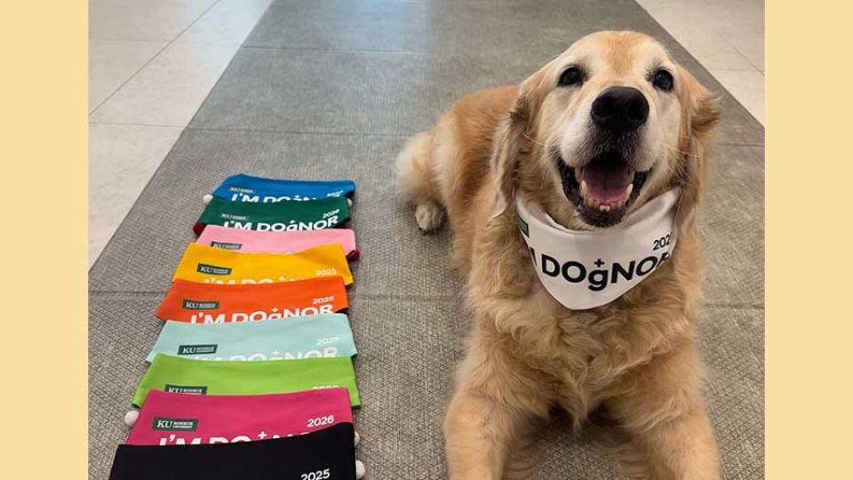 Four-legged lifesavers: Inside South Korea’s growing canine blood donation network