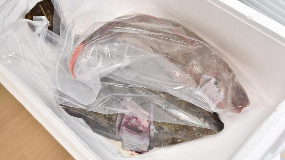 Japan’s fishermen work hard to restore confidence in Fukushima’s seafood