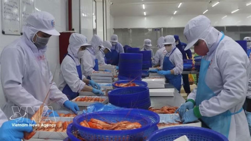 Vietnam’s economy expected to grow 11% in 2027