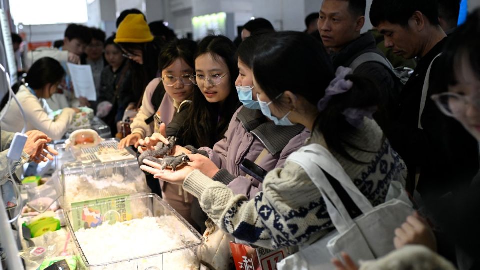 China’s pet industry evolving at unprecedented rate