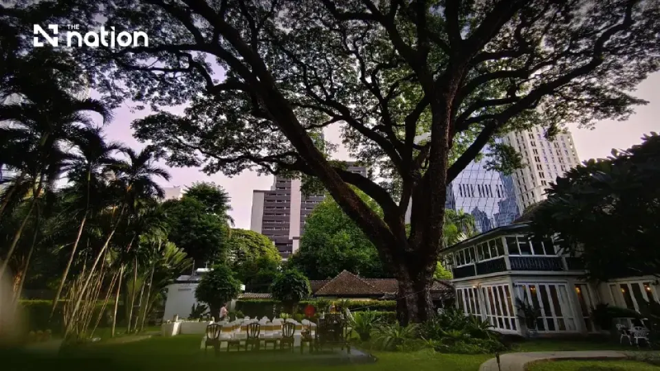 How does a tree play a role in US-Thailand diplomacy?