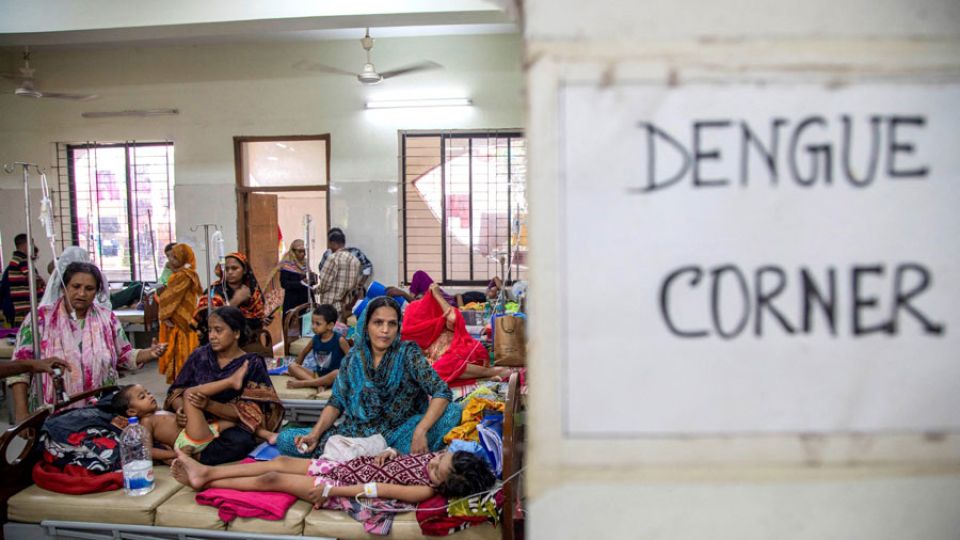 In Bangladesh, 3 more die of dengue, 1,097 hospitalised in 24 hours