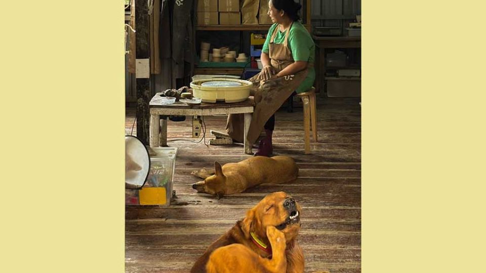 Hands on clay, hearts for strays: Inside this Philippine pet-centric pottery studio